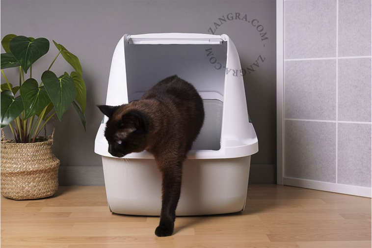 organic cat litter – 7 kg