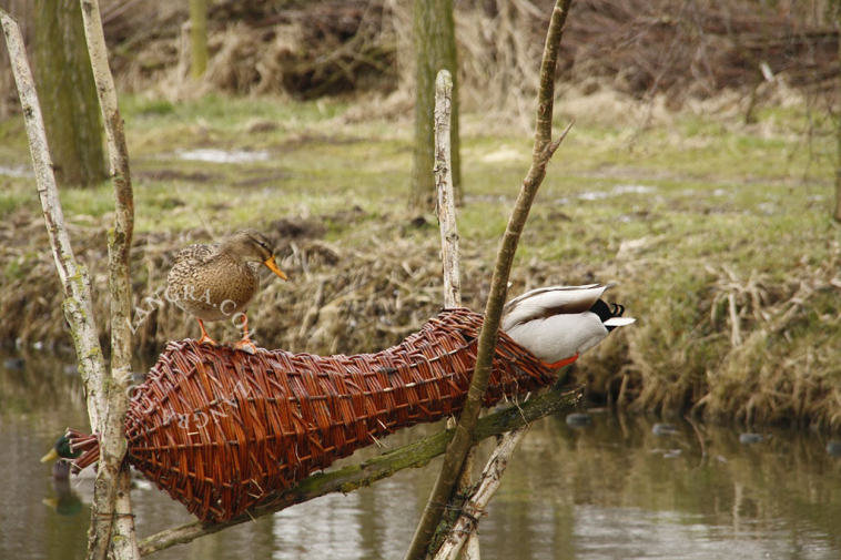 nesting-basket-duck