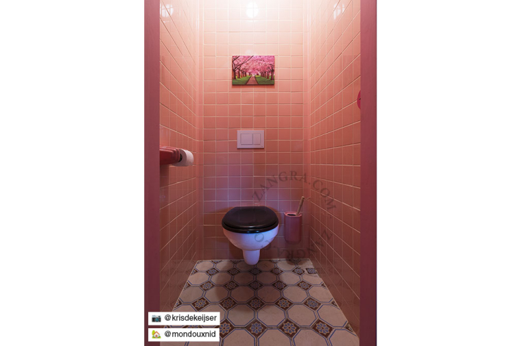 Pink porcelain toilet paper holder.