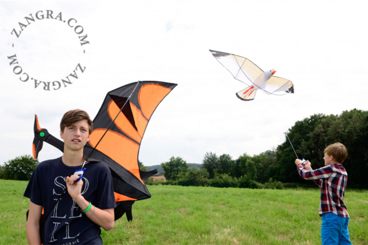 kids.047_l_06-3d-kite-cerf-volant-vlieger
