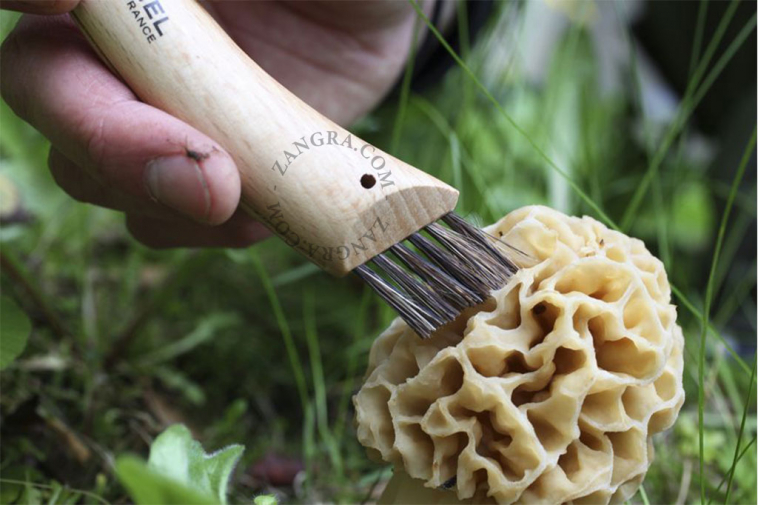 stainless-wood-knife-opinel-folding-mushroom-steel-brush